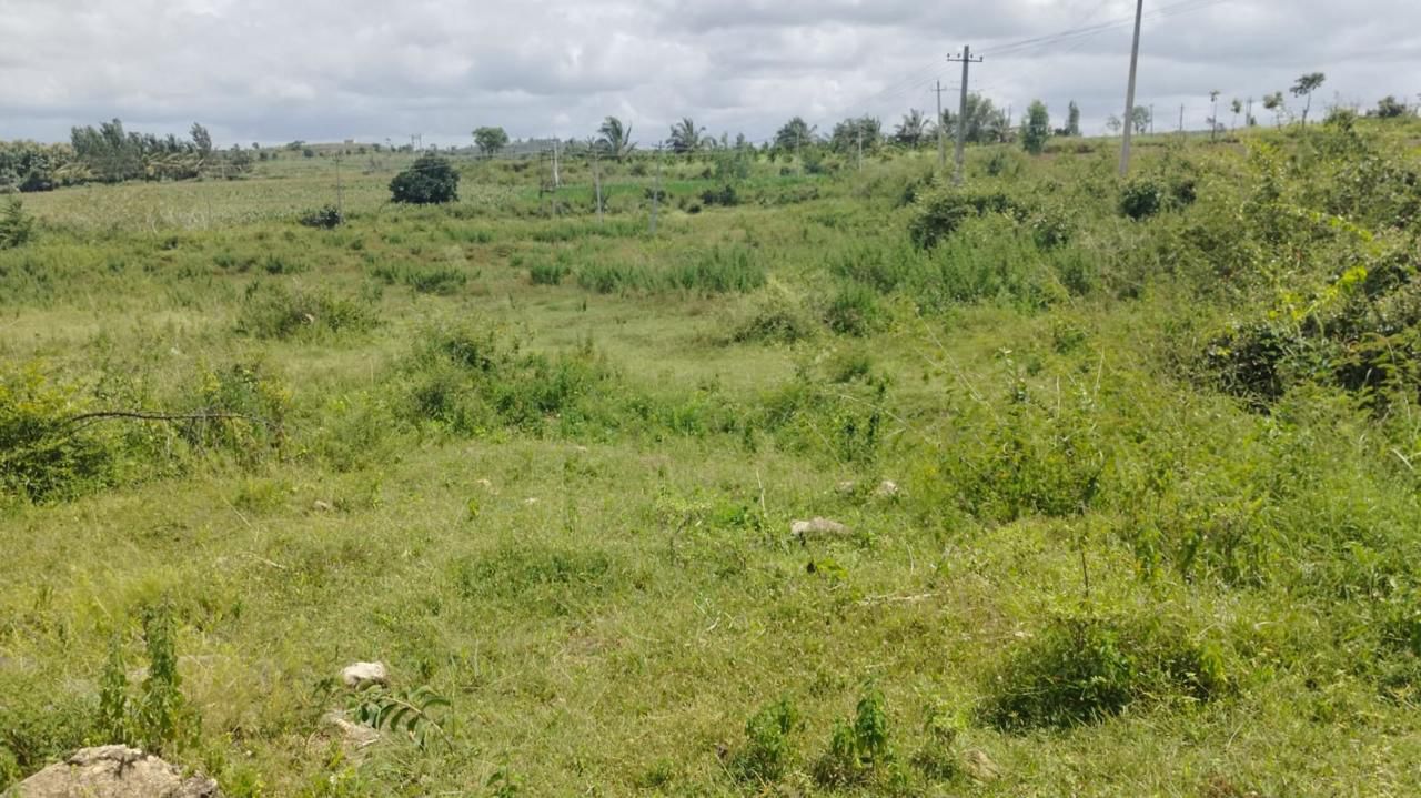 2 Acre channels water attached agri  Land for Sale – Belur (Towards Alur)